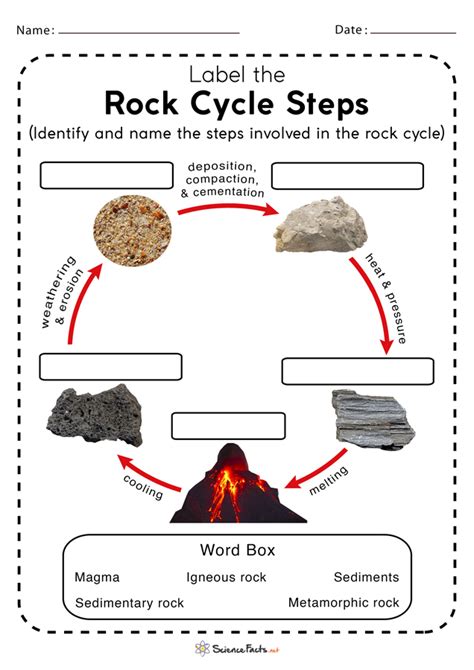 The Rock Cycle interactive worksheet